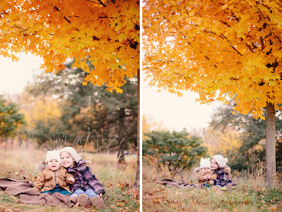 siblings in fall leaves | Rockville, MD | Tonya Teran Photography