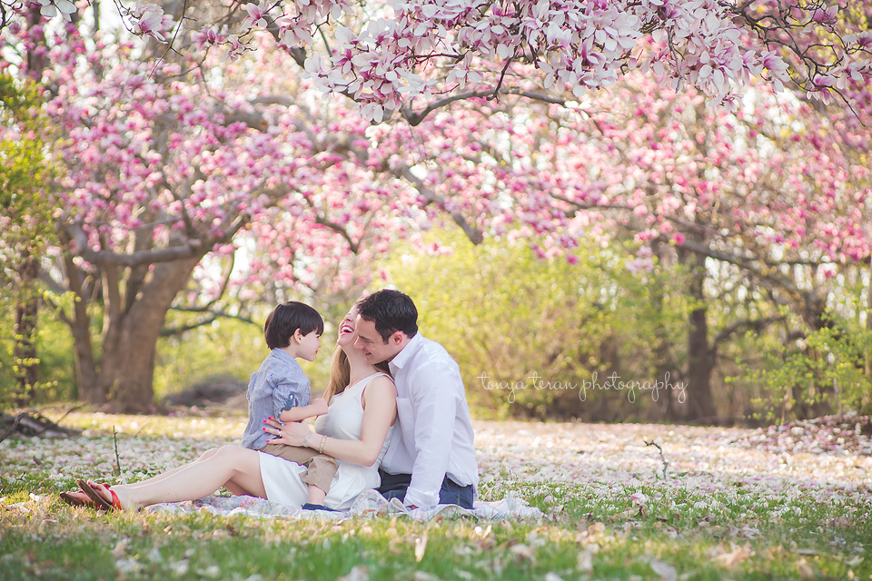 Cherry blossom family session | Rockville, MD Newborn Baby and Family Photographer - Tonya Teran Photography