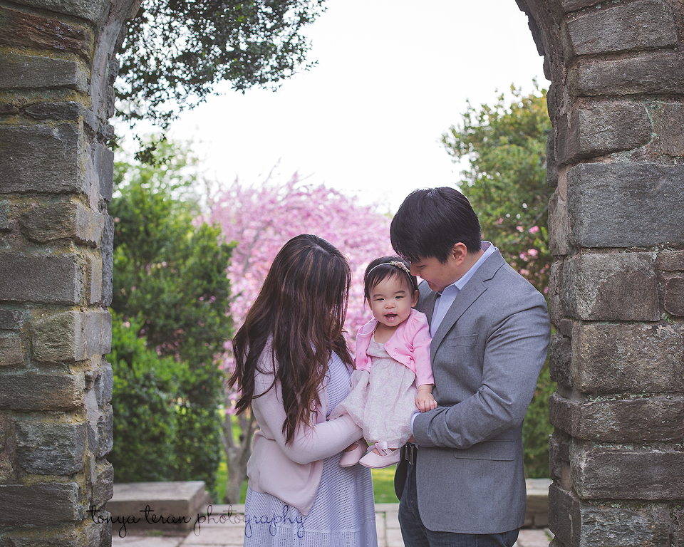 Family cherry blossom session - Tonya Teran Photography - Rockville, MD Newborn Baby and Family Photographer