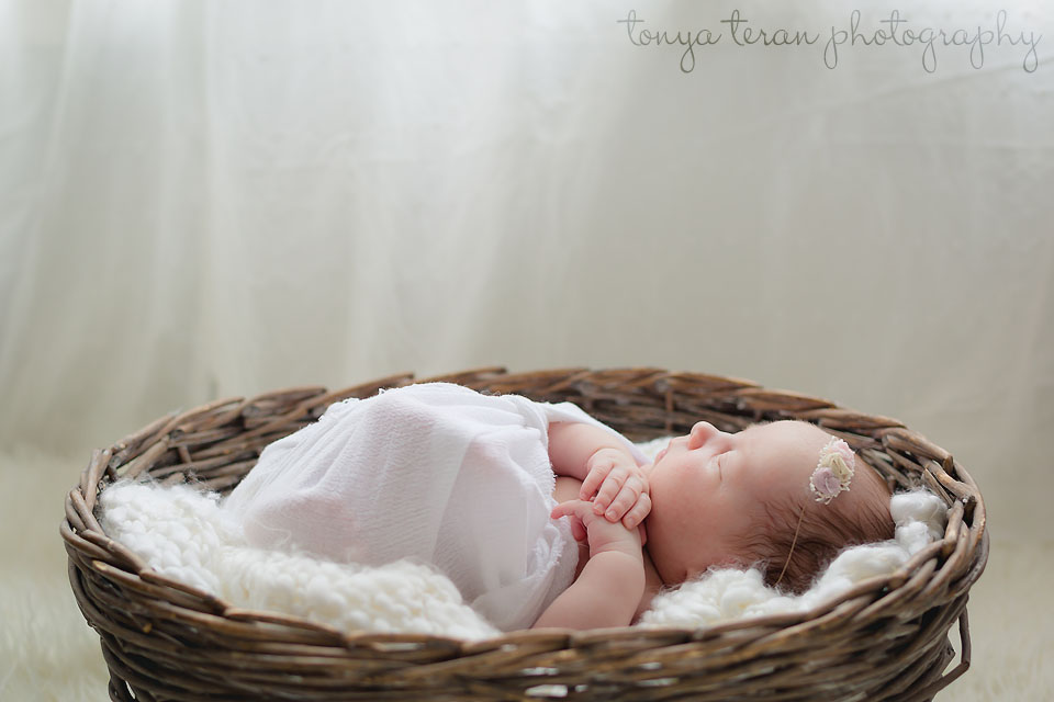 best rockville, Md newborn photographer | Tonya Teran Photography - Rockville, MD newborn, baby, and family photography