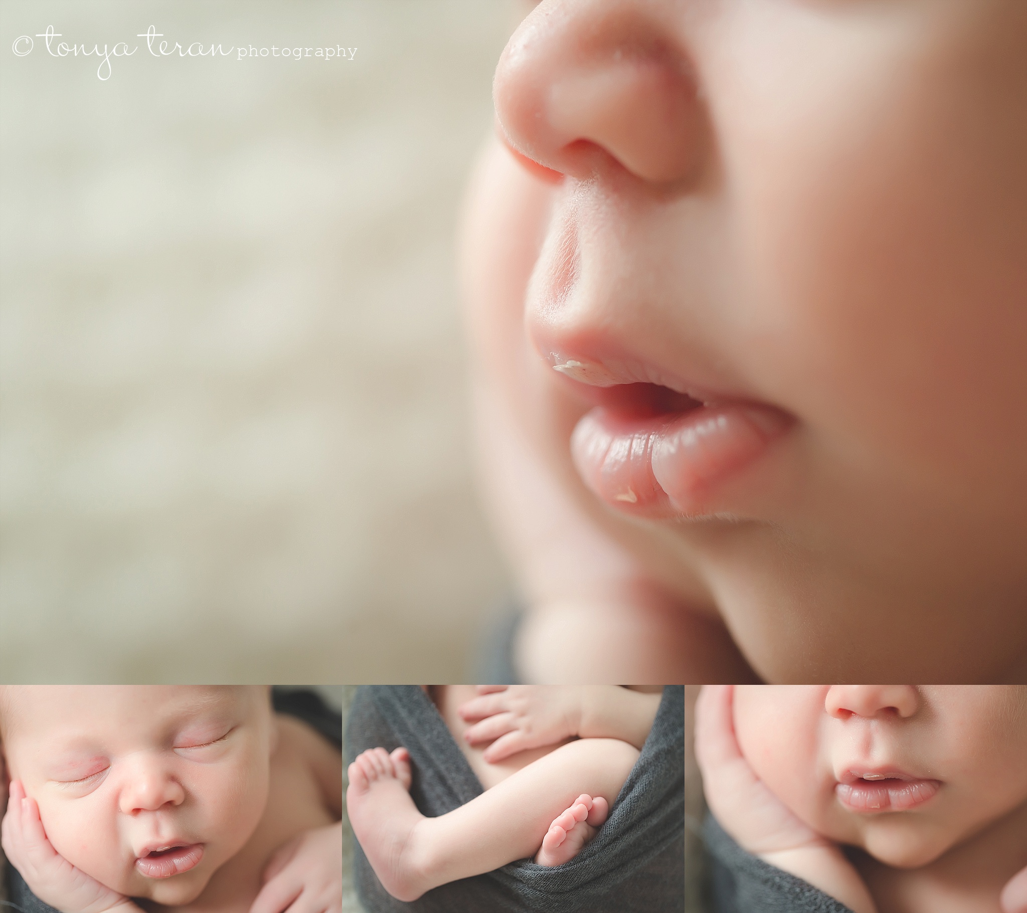Newborn Photo Session | Tonya Teran Photography, McLean, VA Newborn, Baby, and Family Photographer