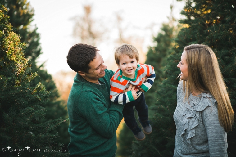 2015 Christmas Tree Farm Mini Sessions Bethesda, MD Newborn, Baby and