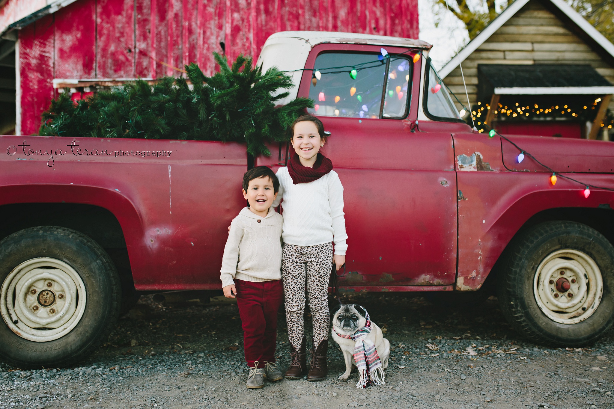 Christmas Holiday Mini Sessions | Tonya Teran Photography, Urbana, MD Newborn, Baby, and Family Photographer