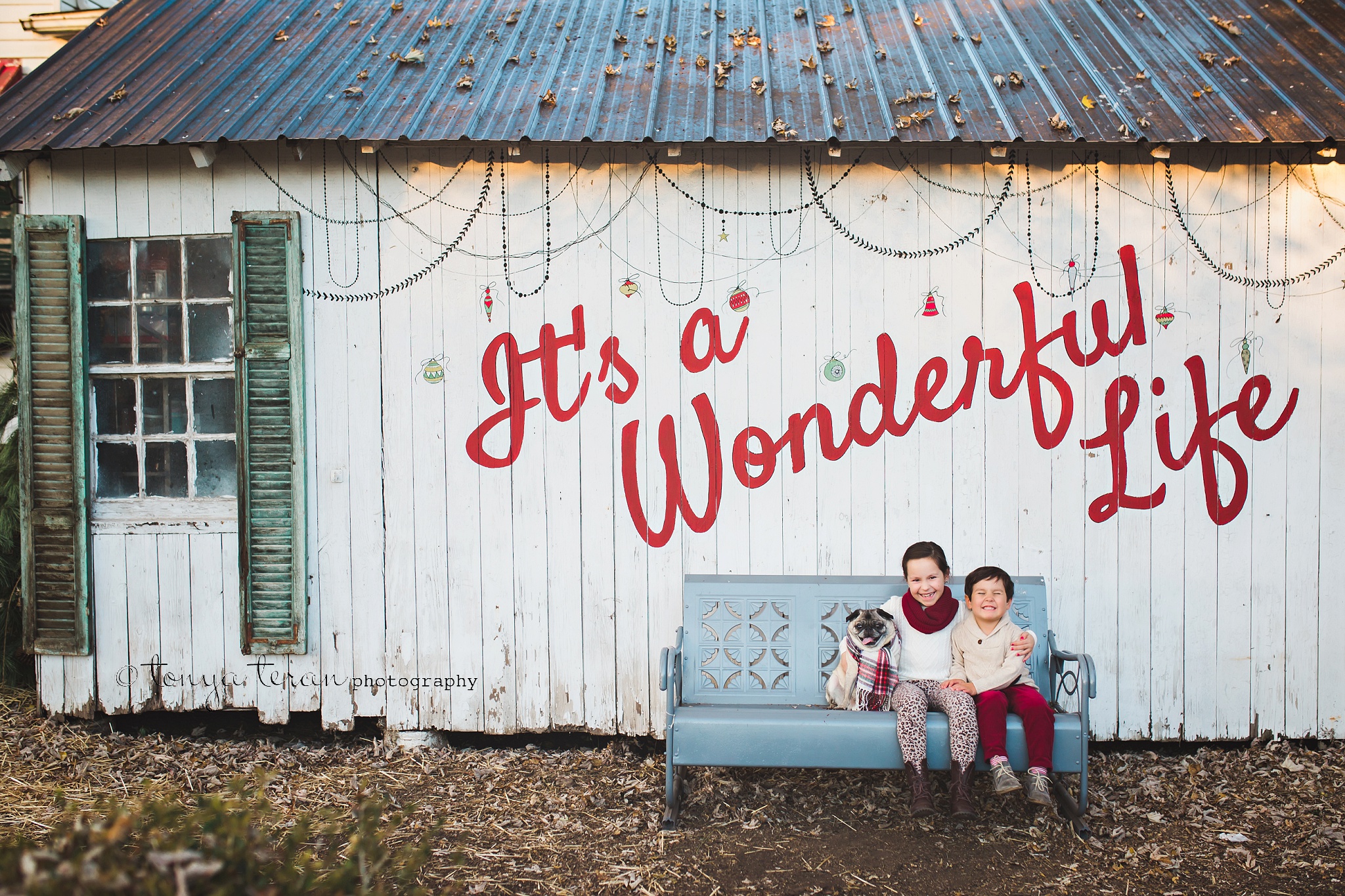 Christmas Holiday Mini Sessions | Tonya Teran Photography, Urbana, MD Newborn, Baby, and Family Photographer
