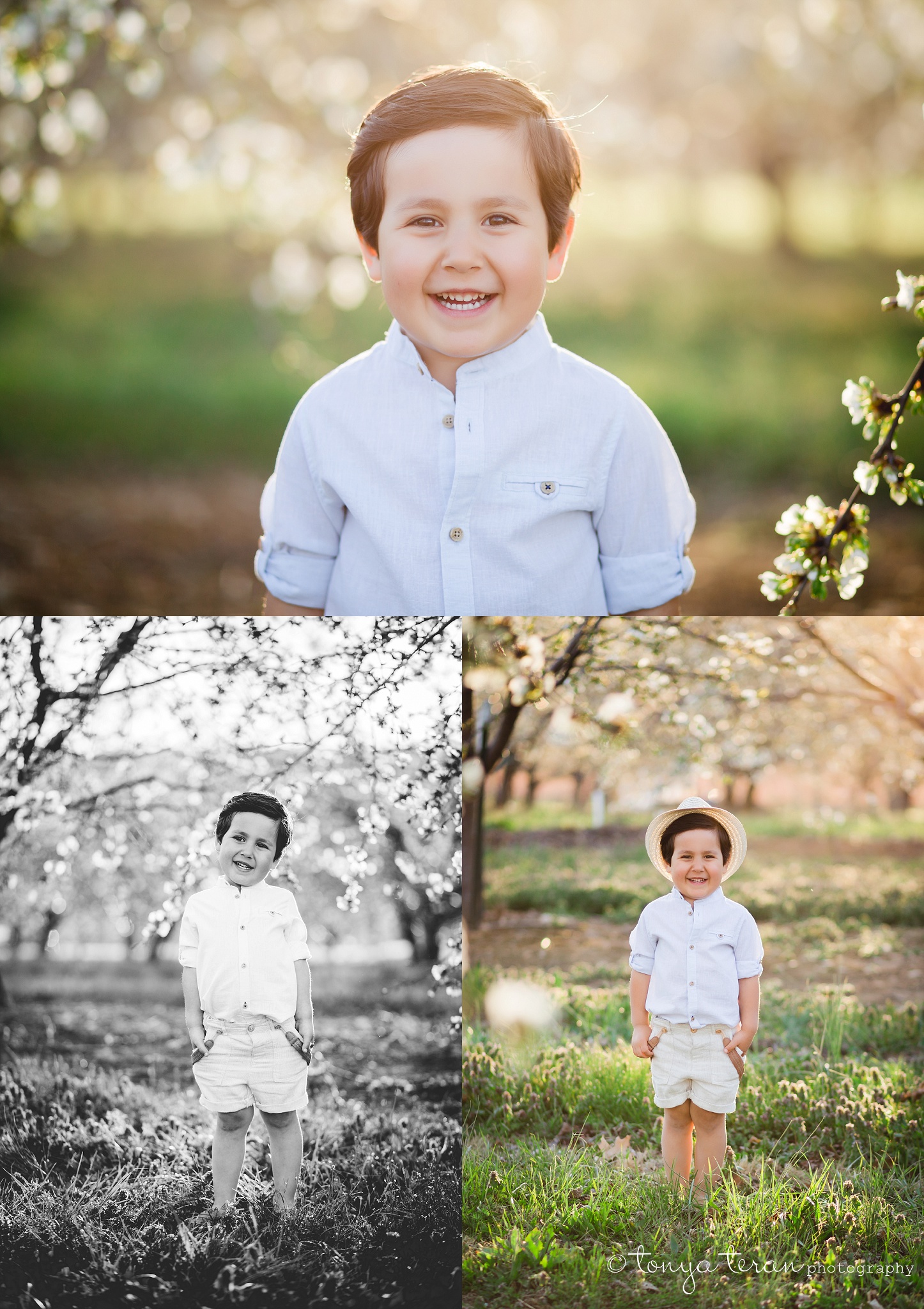 Cherry Blossom Tree Session | Bethesda, MD Newborn, Baby and Family Photographer