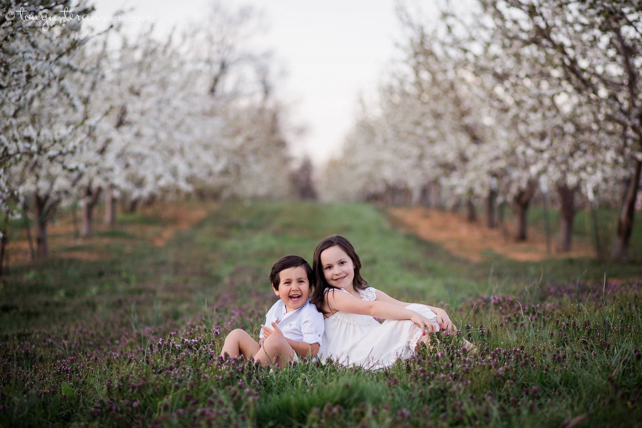 Cherry Blossom Tree Session | Bethesda, MD Newborn, Baby and Family Photographer