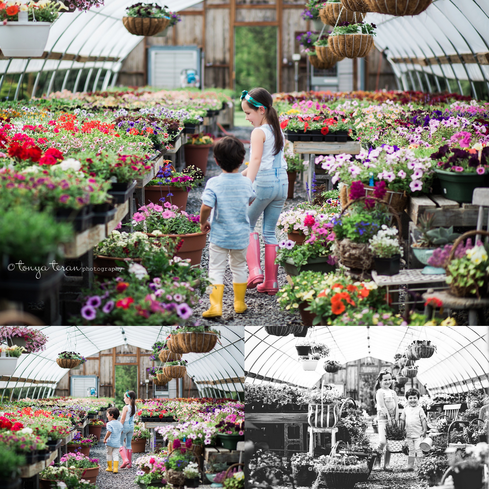 Spring Flowers Greenhouse Session | Tonya Teran Photography, Frederick, MD Newborn, Baby and Family Photographer