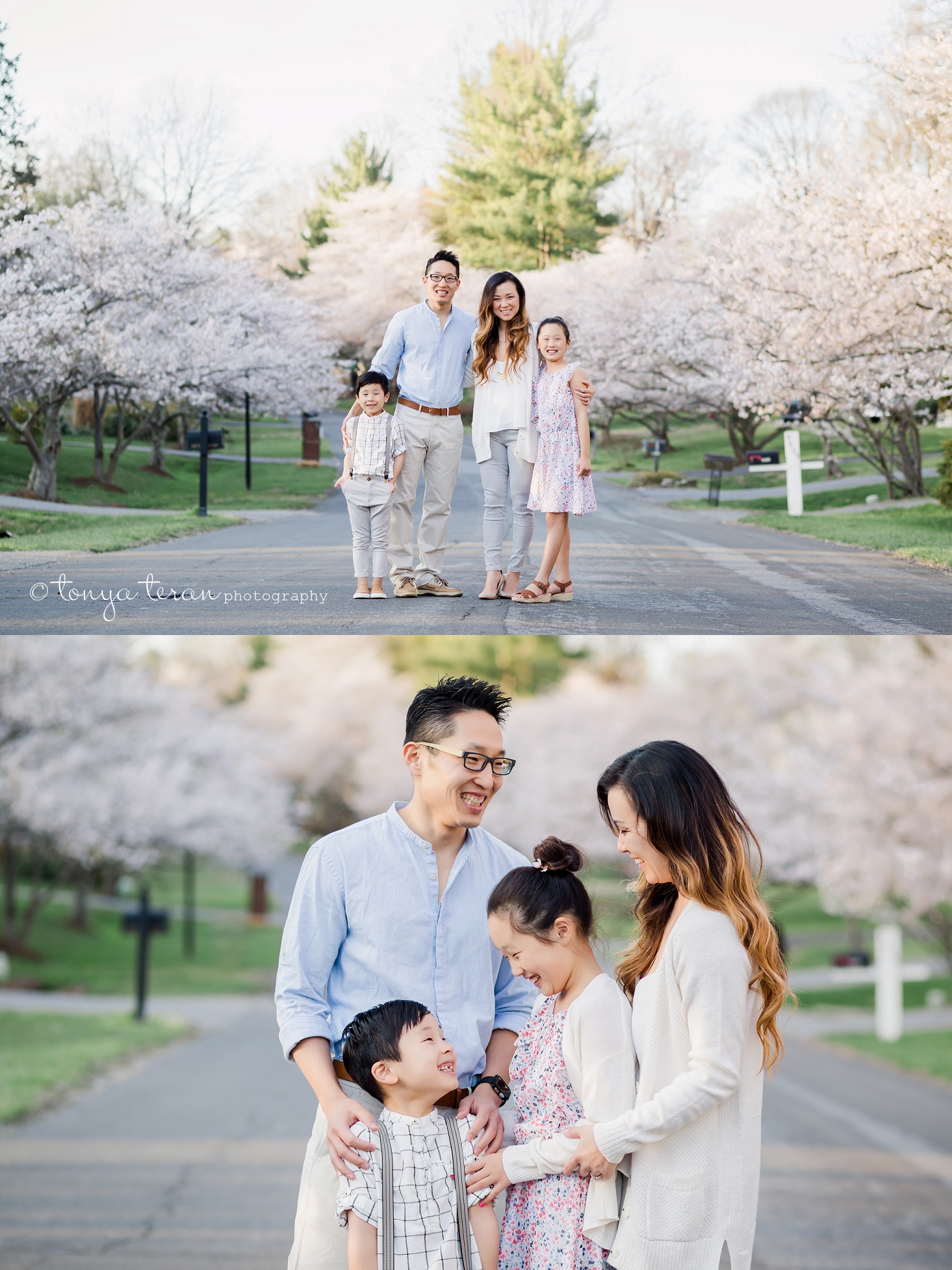 Cherry Blossom Tree Session | Tonya Teran Photography, Potomac, MD Newborn, Baby and Family Photographer