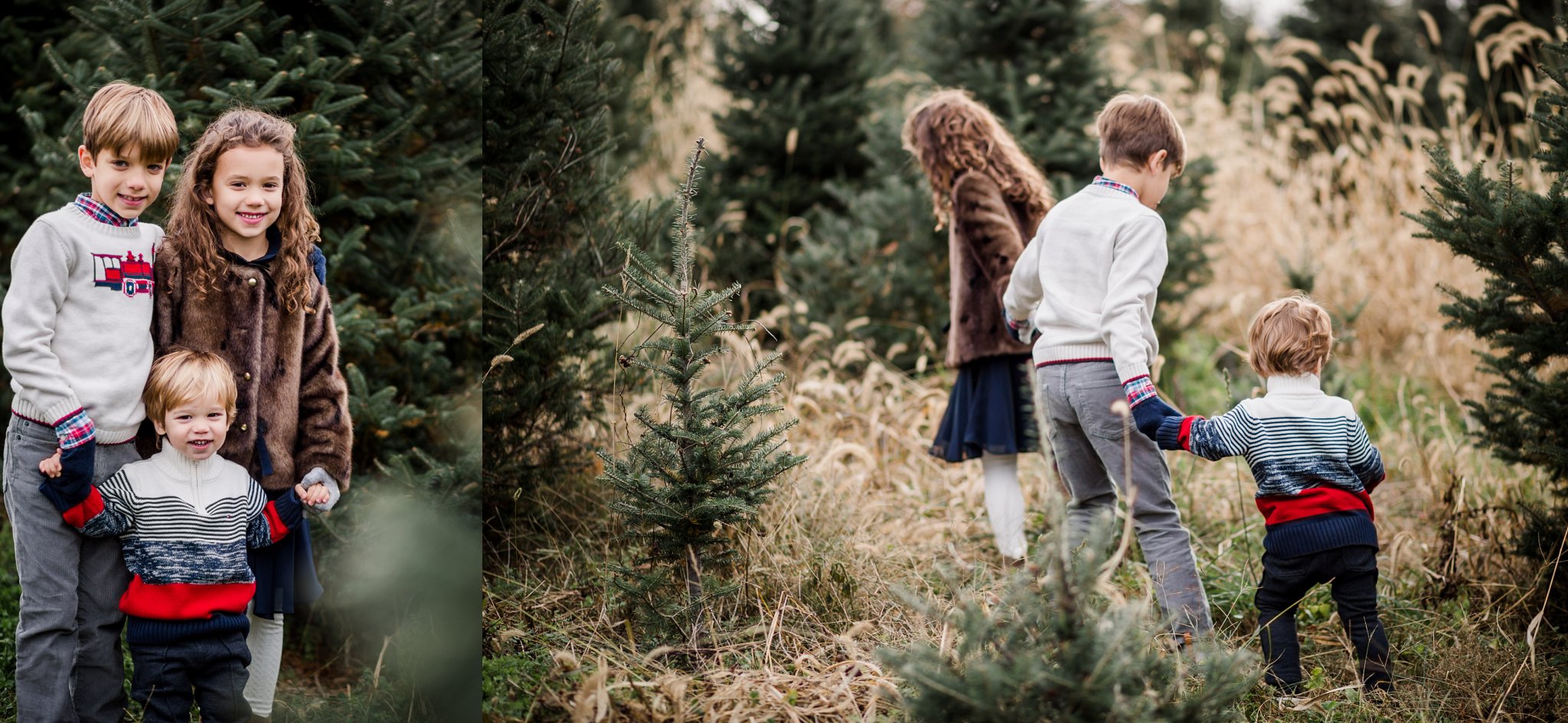 Christmas Tree Farm Holiday Mini Sessions | Tonya Teran Photography, Germantown, MD Newborn, Baby, and Family Photographer