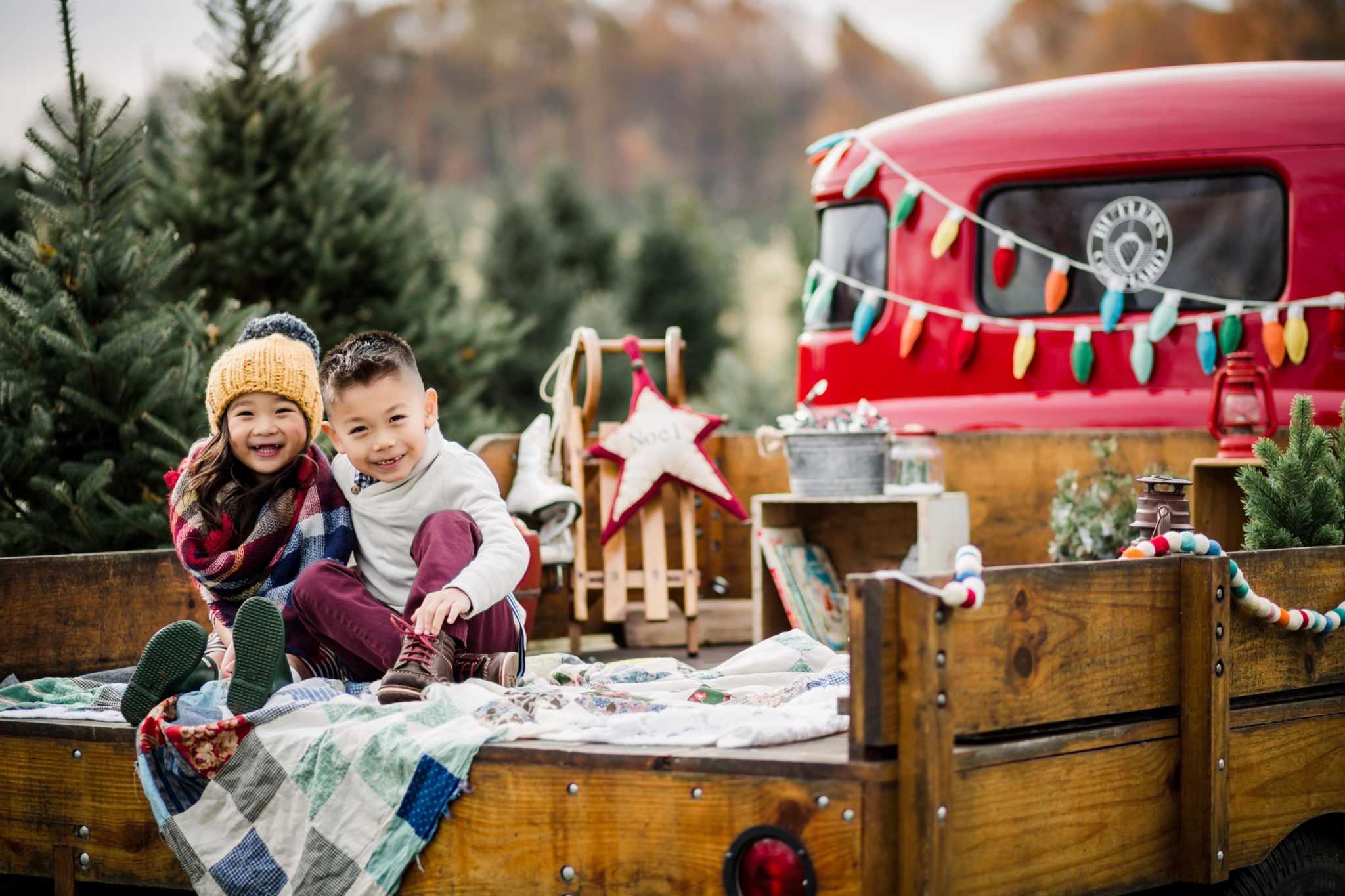 The Most Wonderful Time of the Year | Maryland Christmas Tree Farm ...