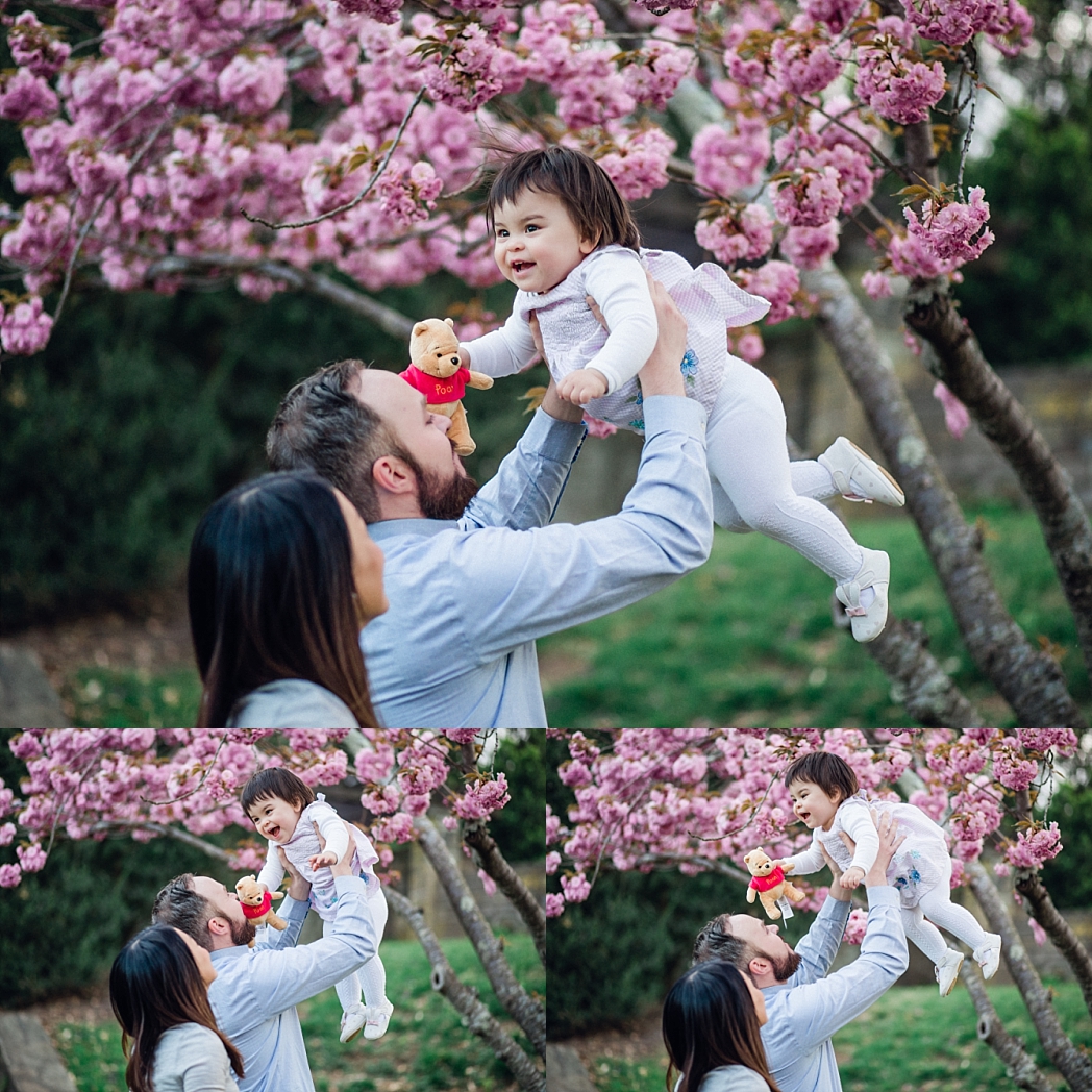 Spring Blossom Tree Session | Bethesda, MD Newborn, Baby and Family Photographer