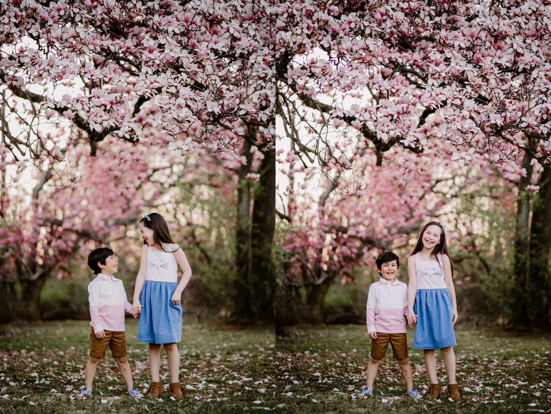 cherry-blossom-locations-dc-family-photographer