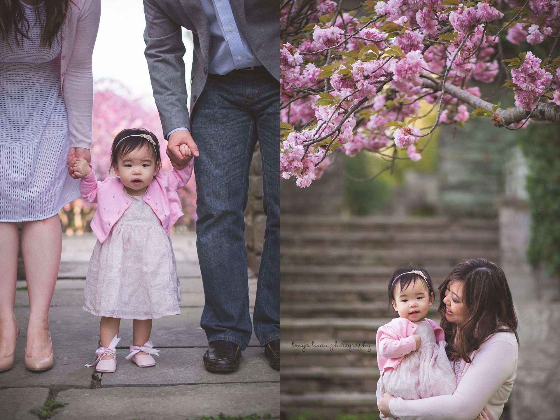 cherry-blossom-locations-dc-family-photographer-glenview-mansion