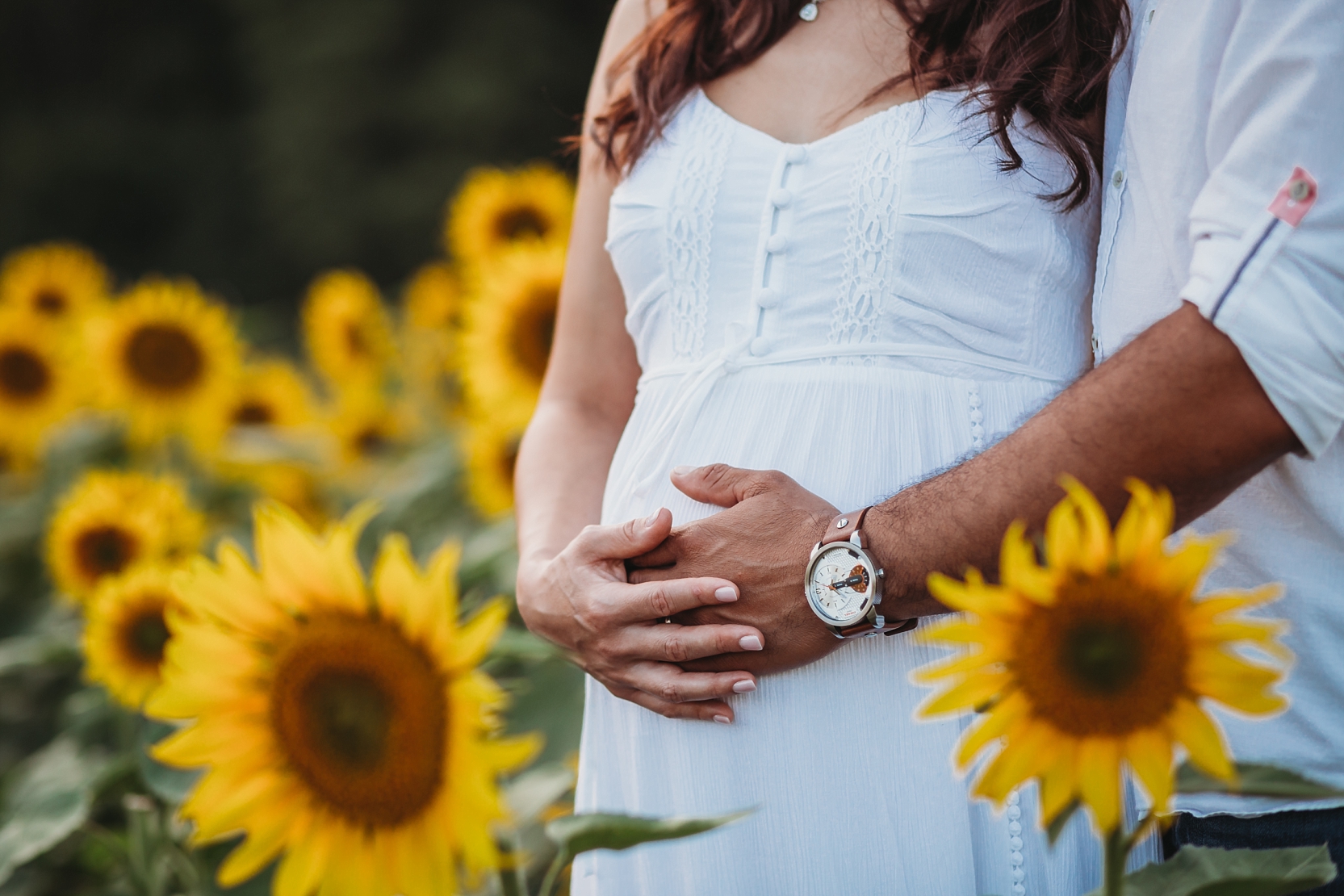 Maryland-sunflower-field-maternity-photographer