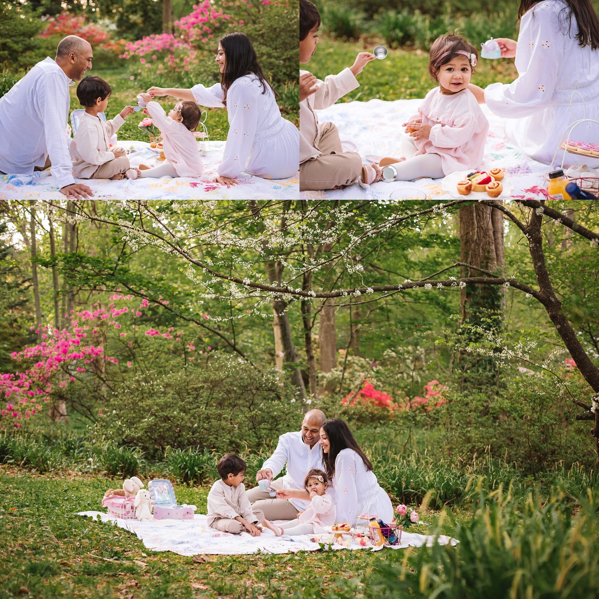 spring-family-photo-guide-DC-photographer-tonya-teran-photography