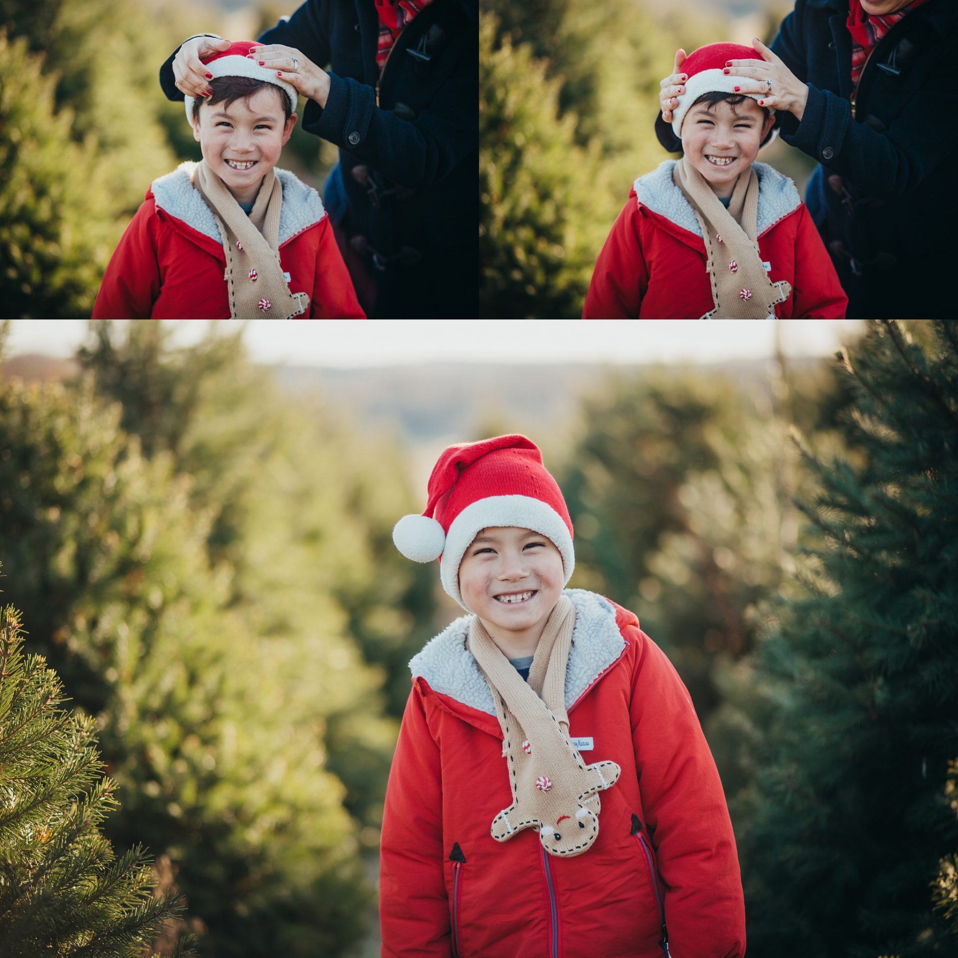 bethesda-md-christmas-tree-farm-family-photographer