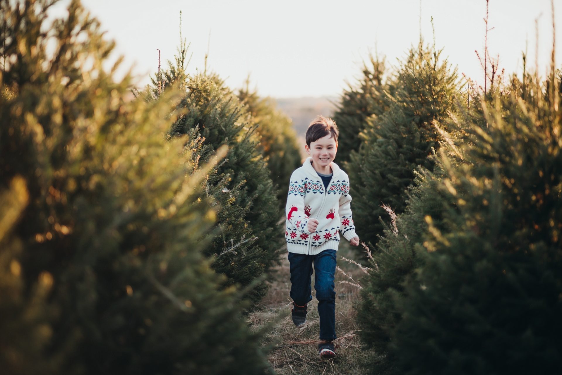 washington-dc-christmas-tree-farm-family-photographer